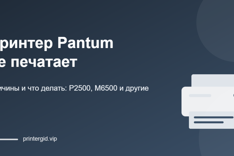 Принтер Pantum не печатает: причины и что делать